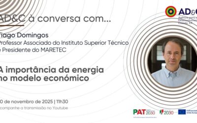 Webinar AD&C: Tiago Domingos aborda a importância da energia no modelo económico