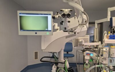 Investimento apoiado pelo Lisboa 2030 reforça capacidade tecnológica da Unidade Local de Saúde do Arco Ribeirinho